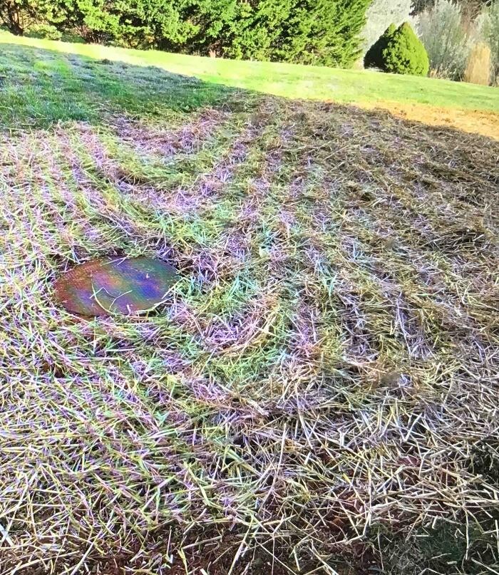 Images All About Septic - Mills River