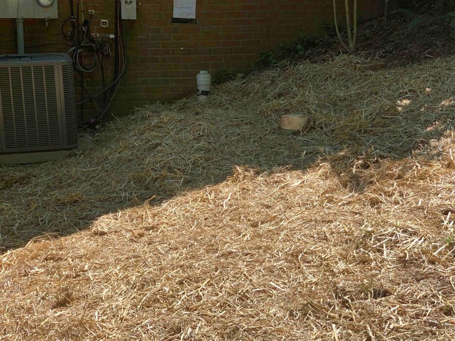 Images All About Septic - Mills River