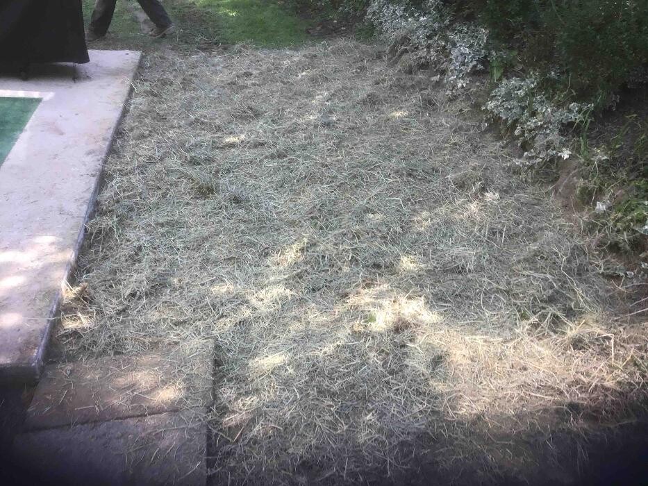 Images All About Septic - Mills River