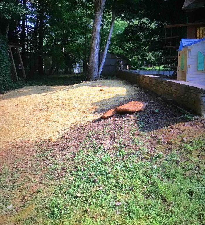 Images All About Septic - Mills River