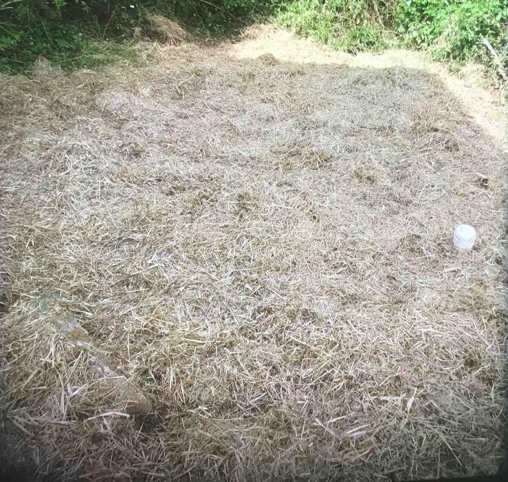 Images All About Septic - Mills River