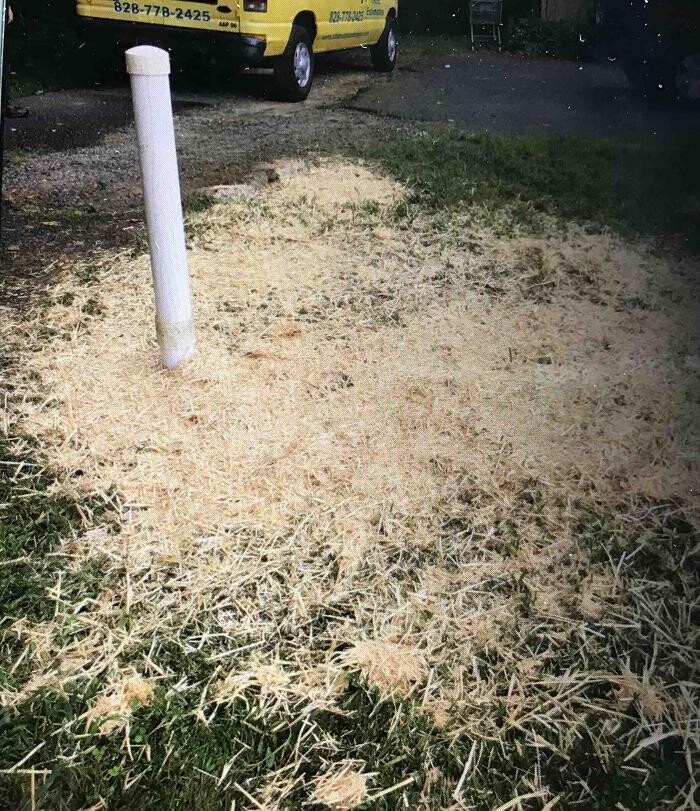 Images All About Septic - Mills River