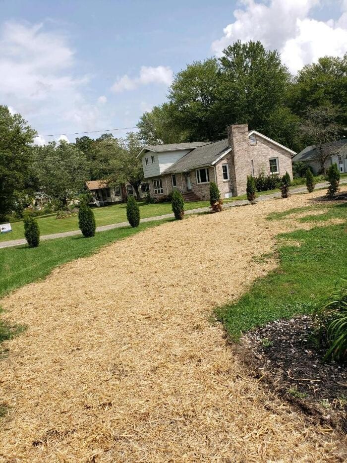 Images All About Septic - Mills River