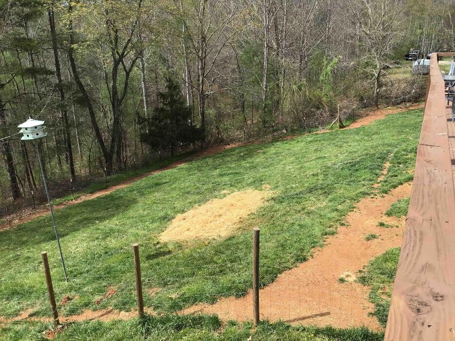 Images All About Septic - Mills River