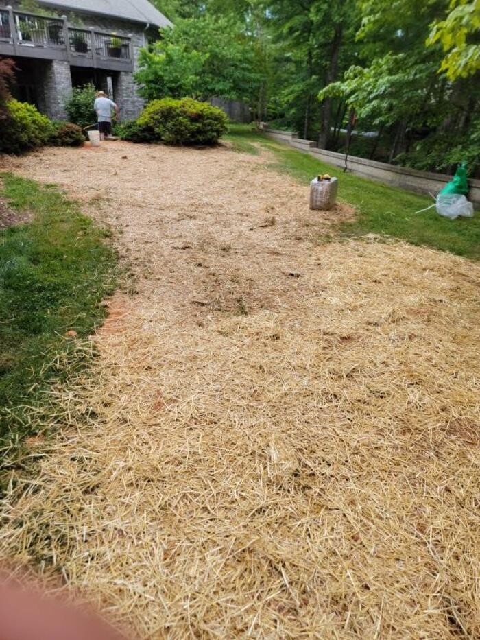 Images All About Septic - Mills River