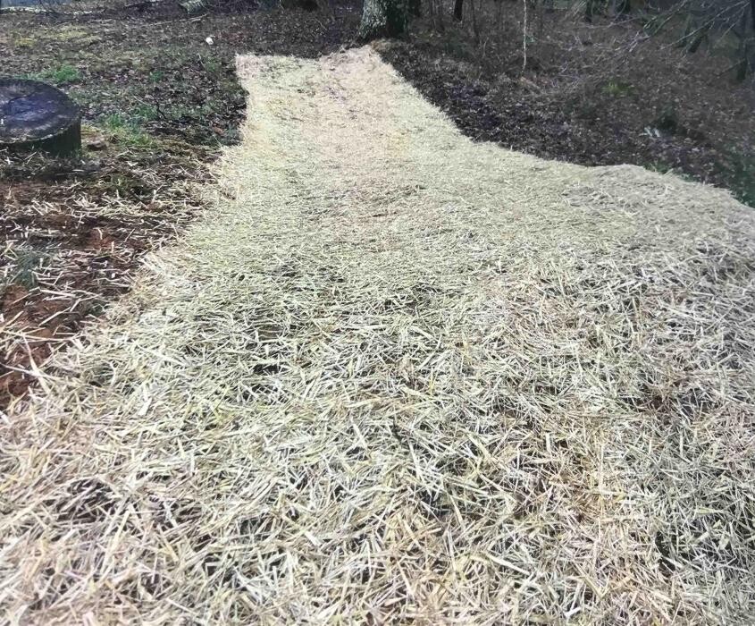 Images All About Septic - Mills River