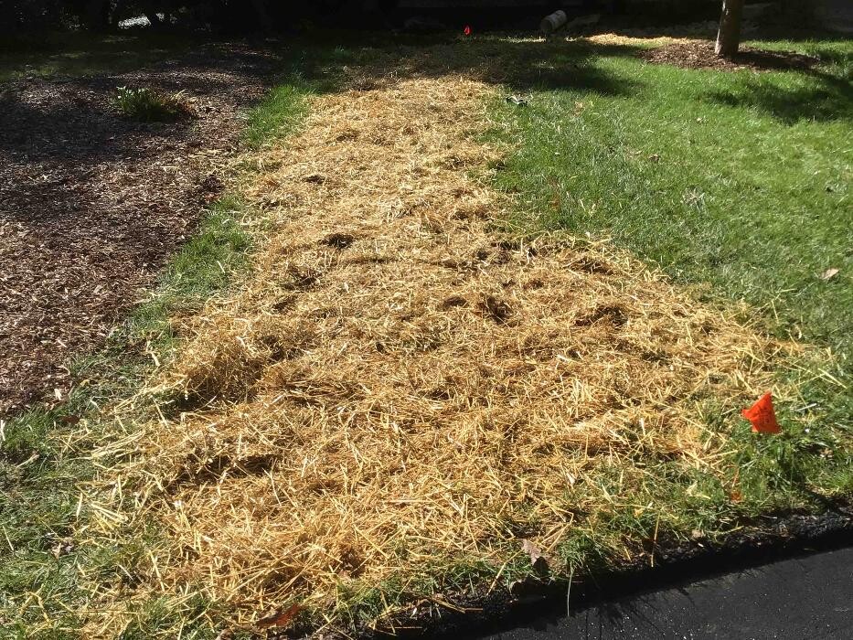 Images All About Septic - Mills River