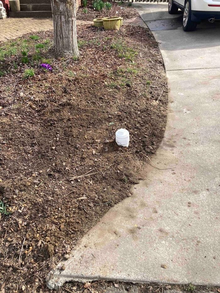 Images All About Septic - Mills River