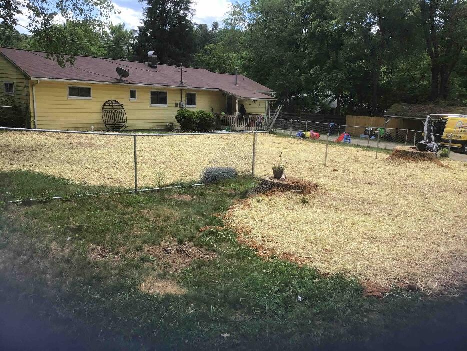 Images All About Septic - Mills River