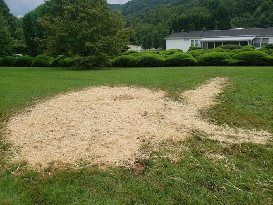 Images All About Septic - Mills River