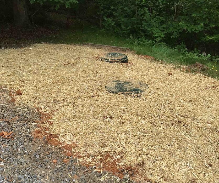 Images All About Septic - Mills River