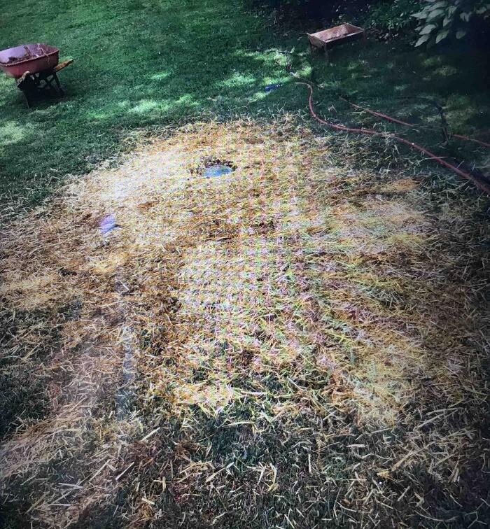 Images All About Septic - Mills River