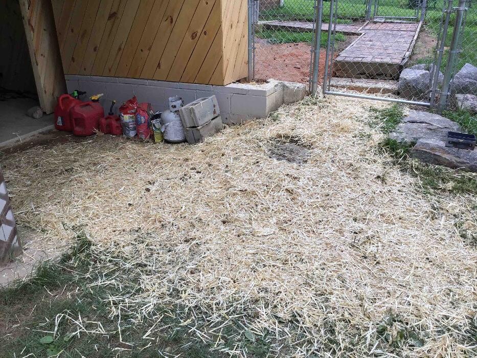 Images All About Septic - Mills River