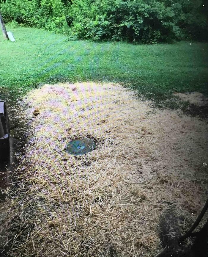 Images All About Septic - Mills River