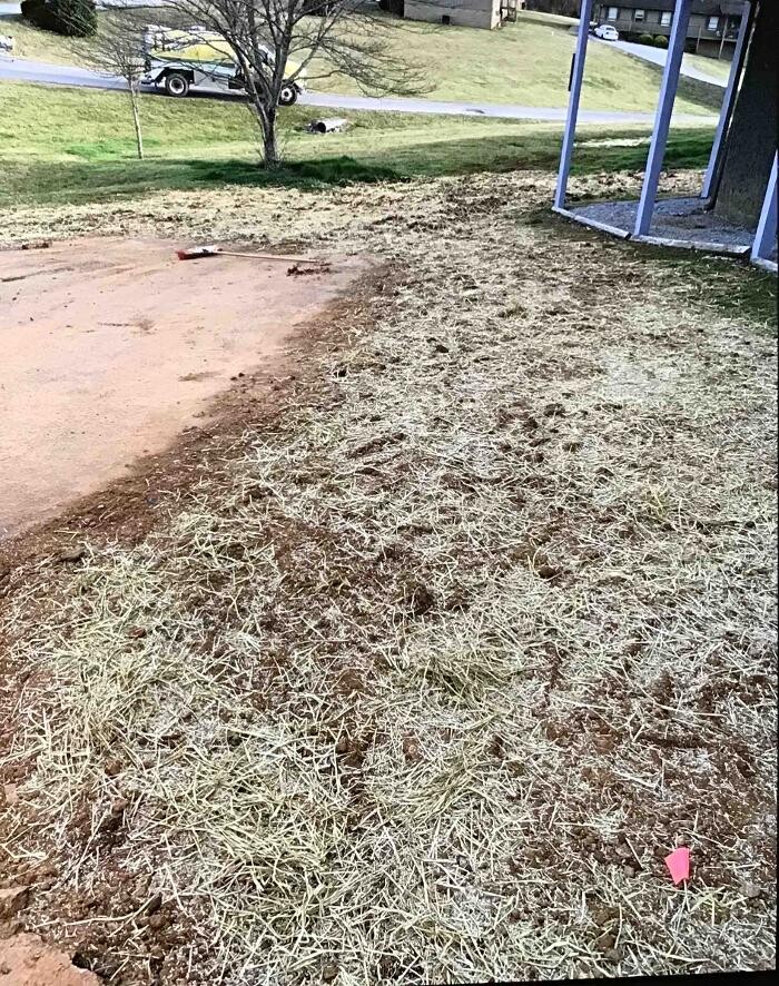 Images All About Septic - Mills River