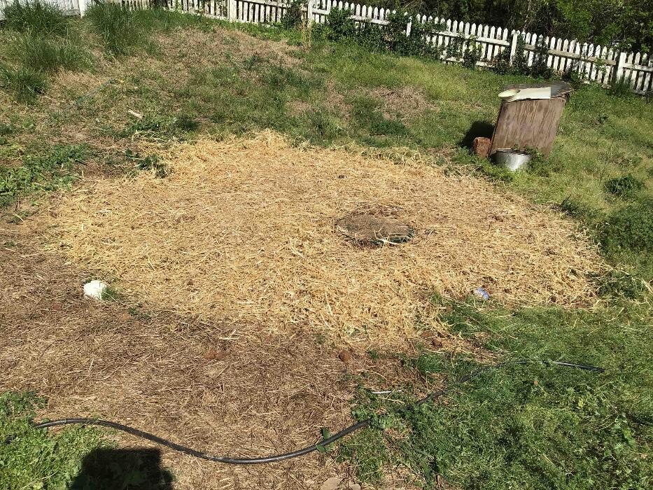 Images All About Septic - Mills River