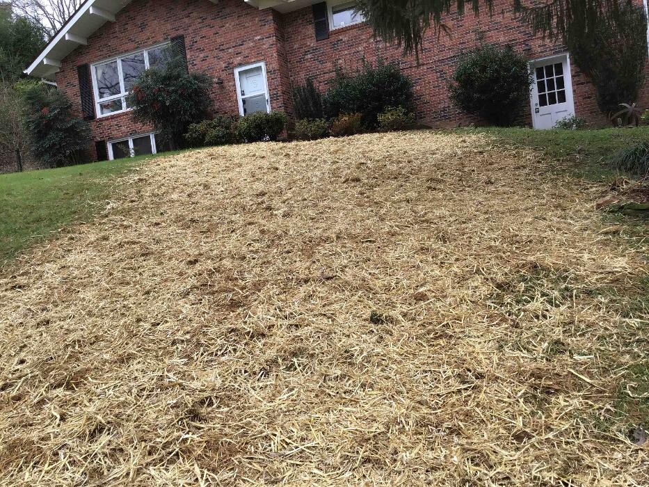 Images All About Septic - Mills River