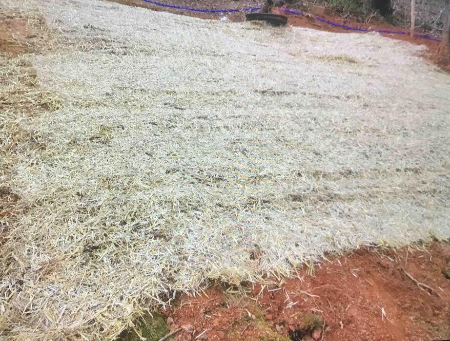 Images All About Septic - Mills River