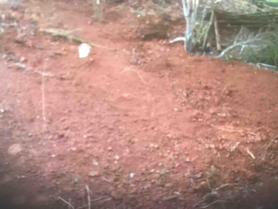 Images All About Septic - Mills River