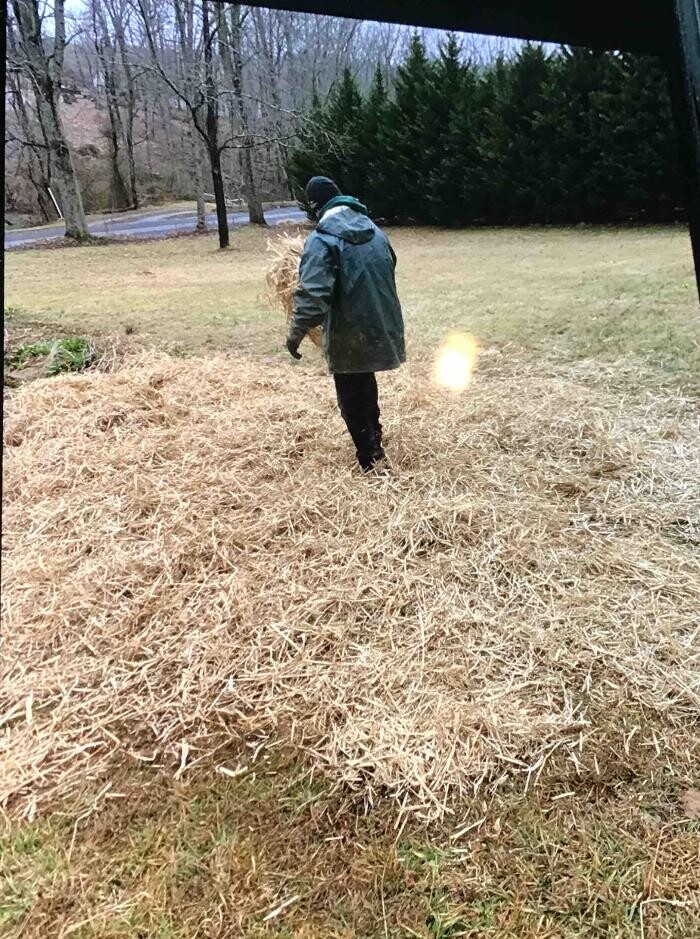 Images All About Septic - Mills River