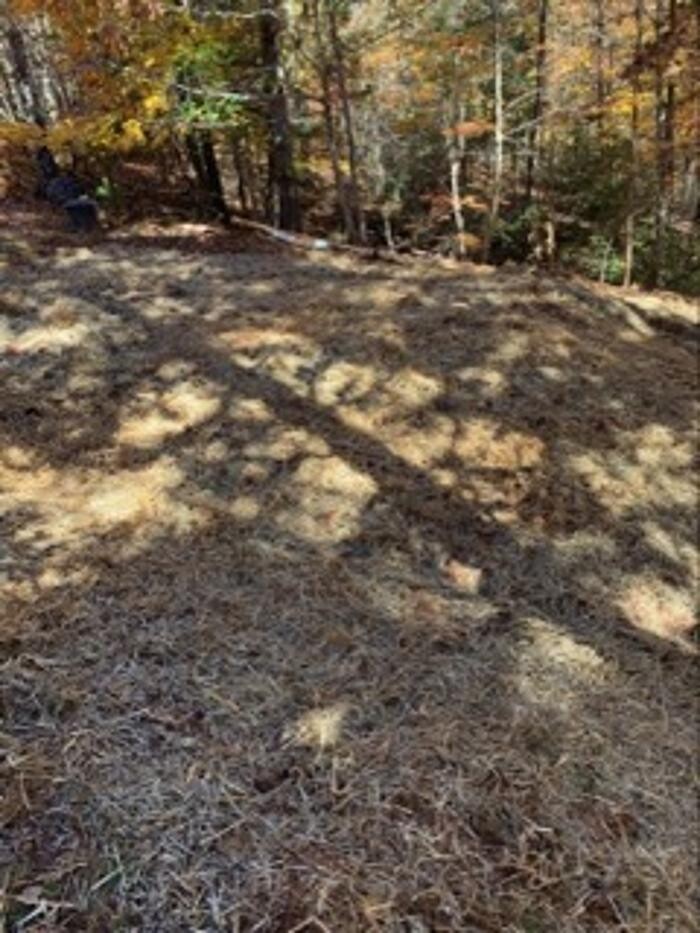 Images All About Septic - Mills River