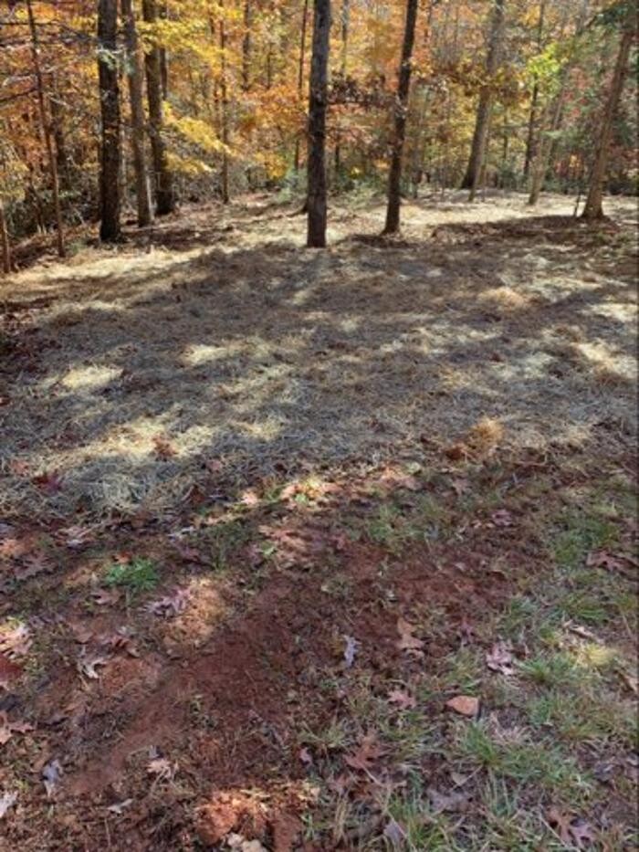 Images All About Septic - Mills River