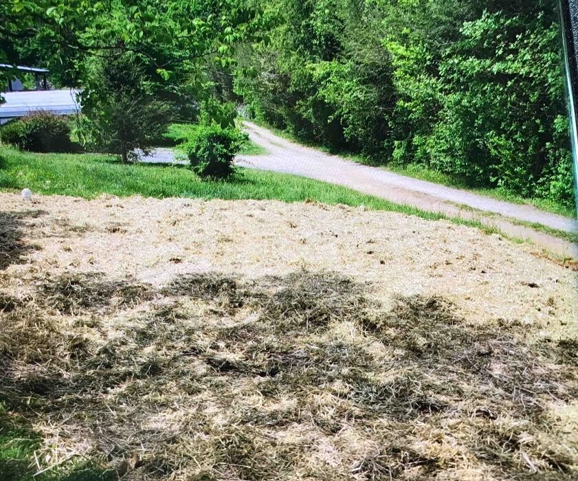 Images All About Septic - Mills River