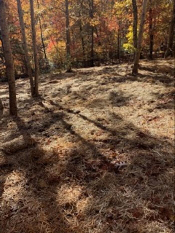 Images All About Septic - Mills River