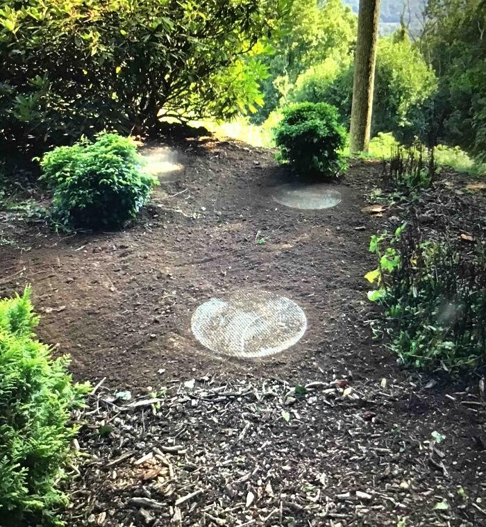 Images All About Septic - Mills River