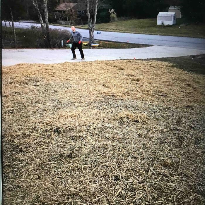 Images All About Septic - Mills River