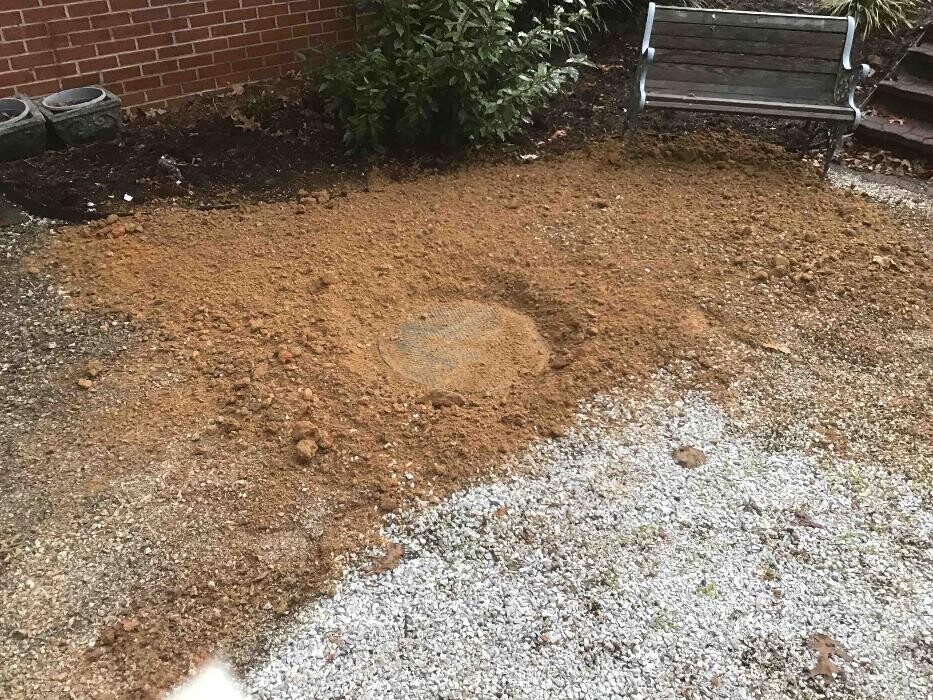 Images All About Septic - Mills River