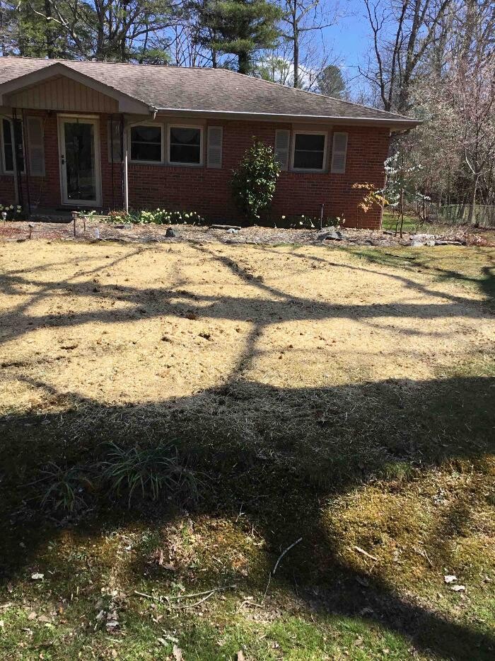 Images All About Septic - Mills River