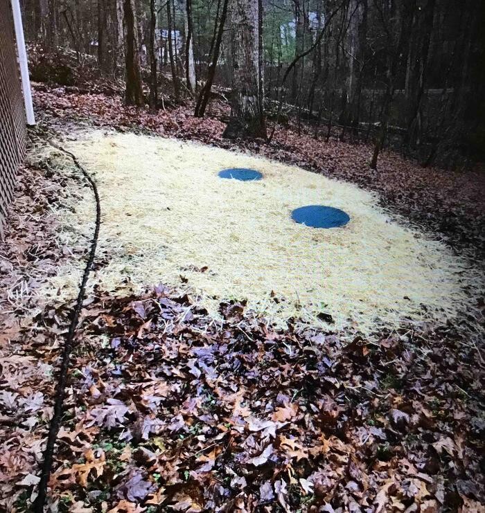 Images All About Septic - Mills River