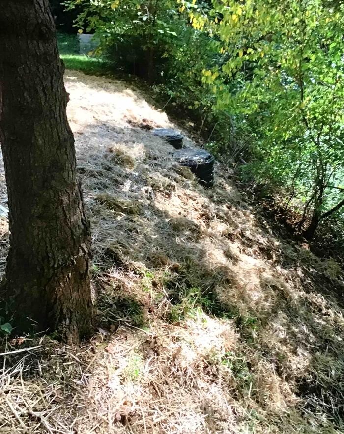 Images All About Septic - Mills River