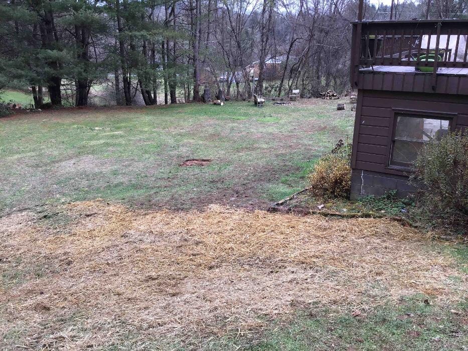 Images All About Septic - Mills River