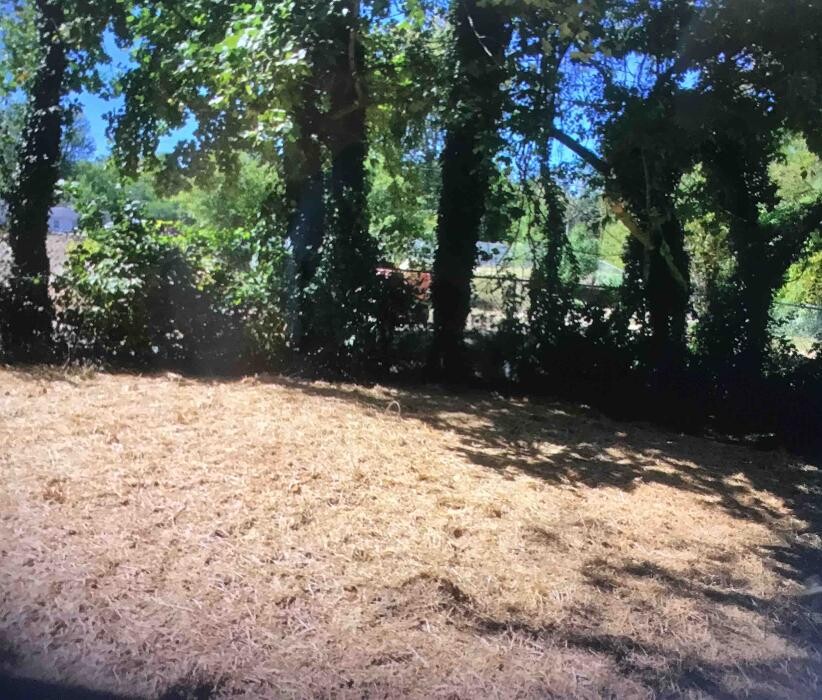 Images All About Septic - Mills River