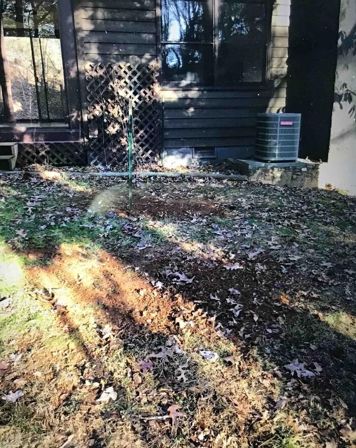 Images All About Septic - Mills River