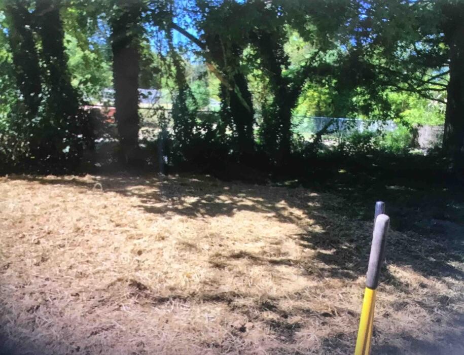 Images All About Septic - Mills River