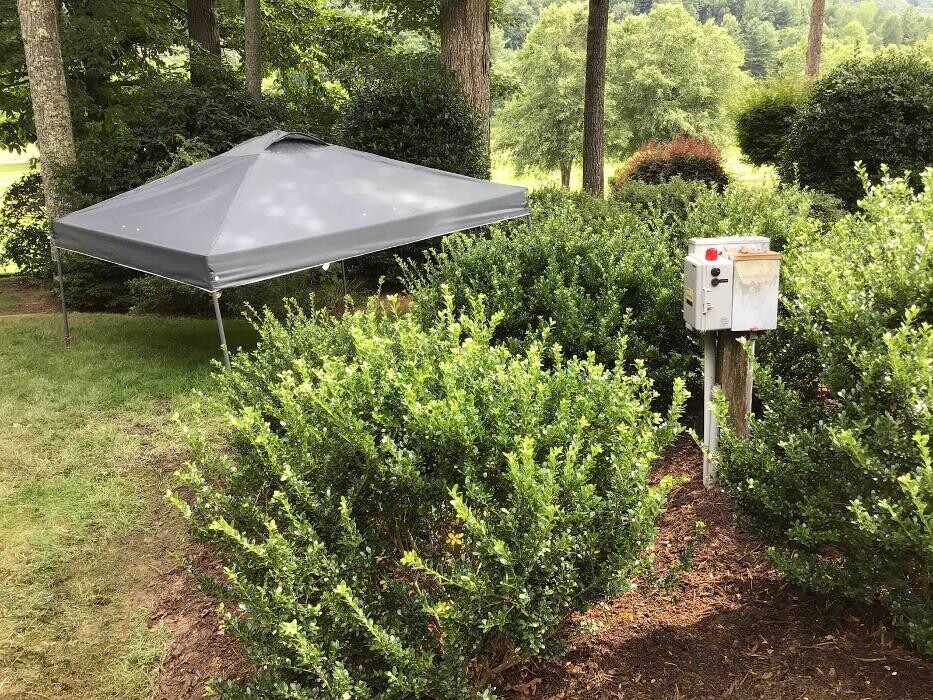 Images All About Septic - Mills River