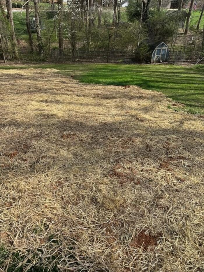 Images All About Septic - Mills River