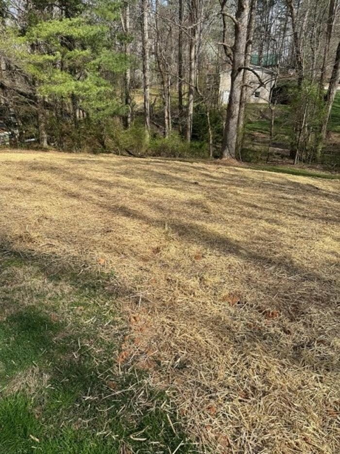 Images All About Septic - Mills River