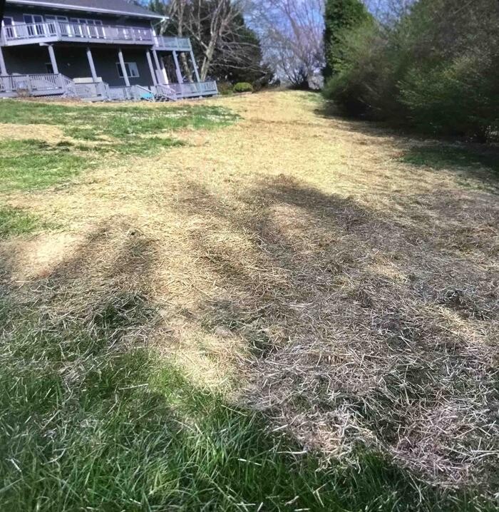 Images All About Septic - Mills River