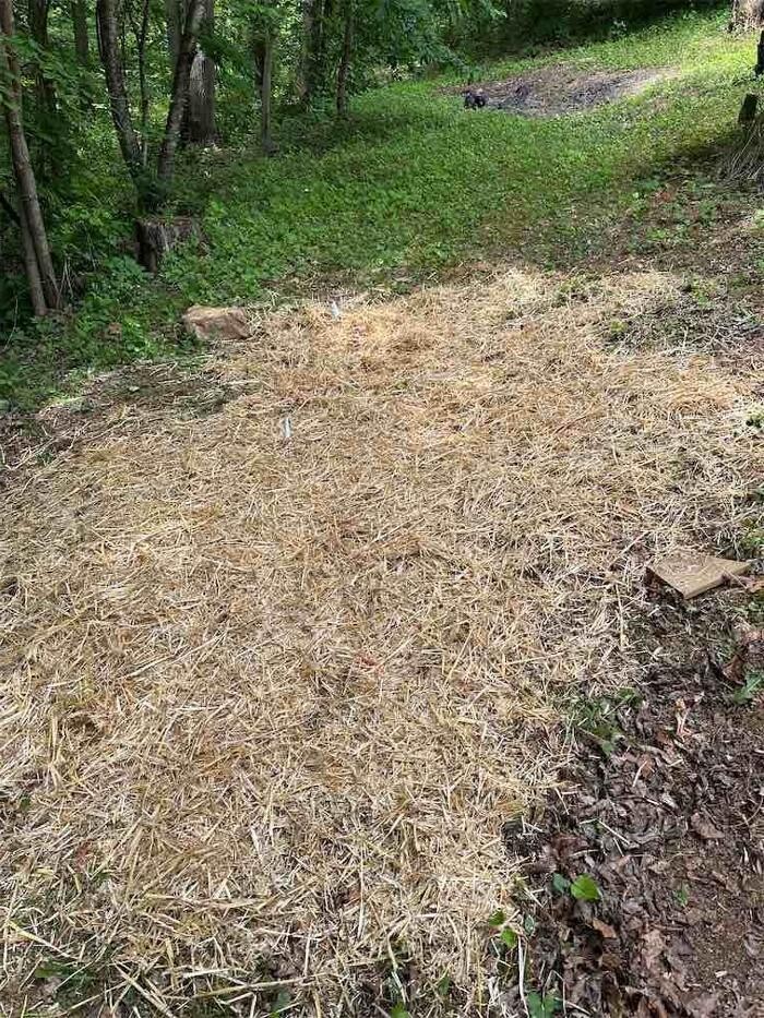 Images All About Septic - Mills River