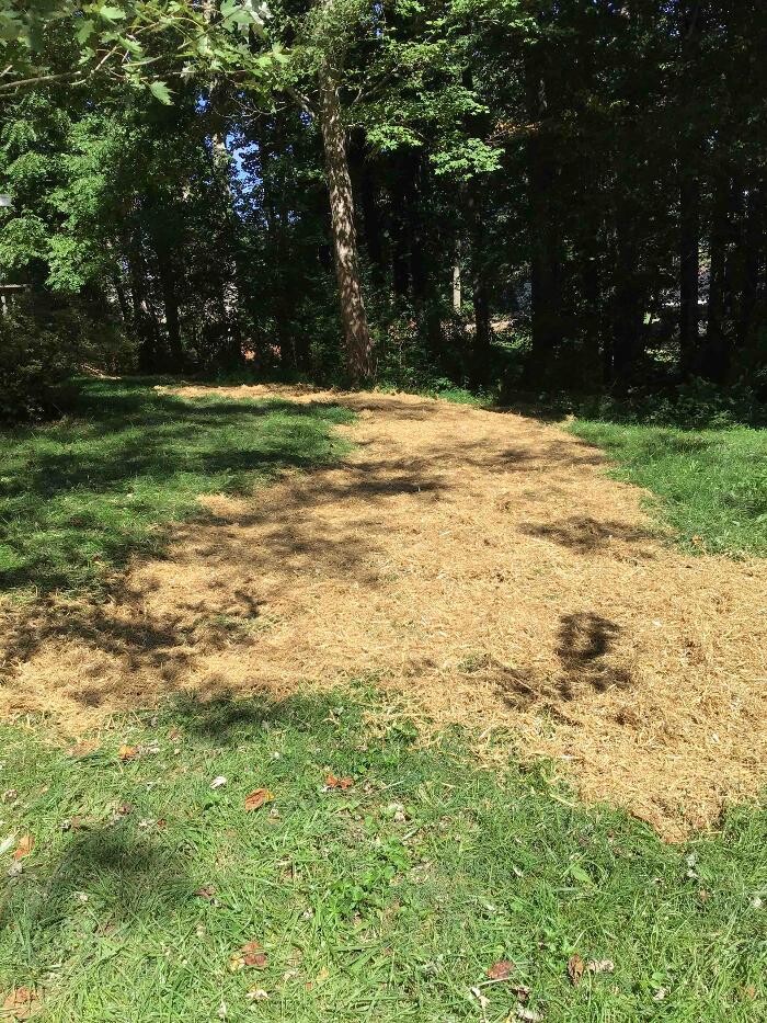 Images All About Septic - Mills River