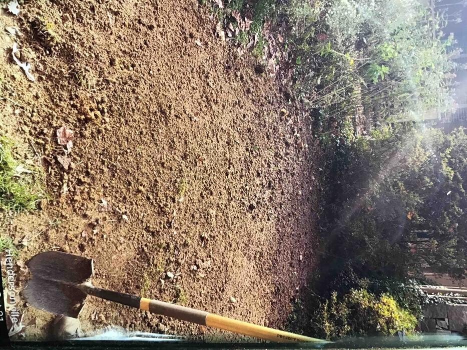 Images All About Septic - Mills River