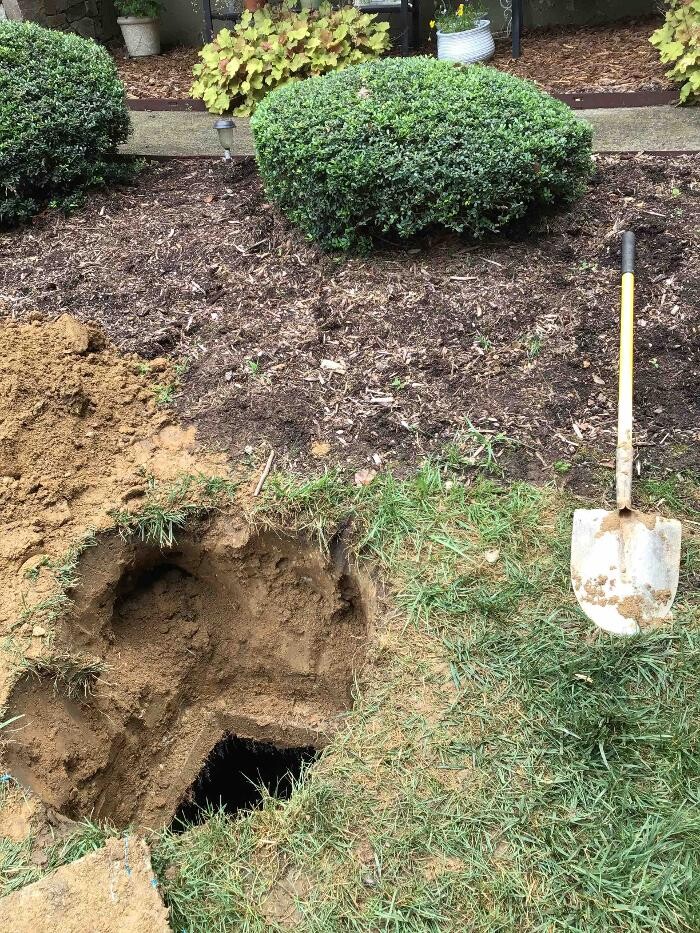 Images All About Septic - Mills River