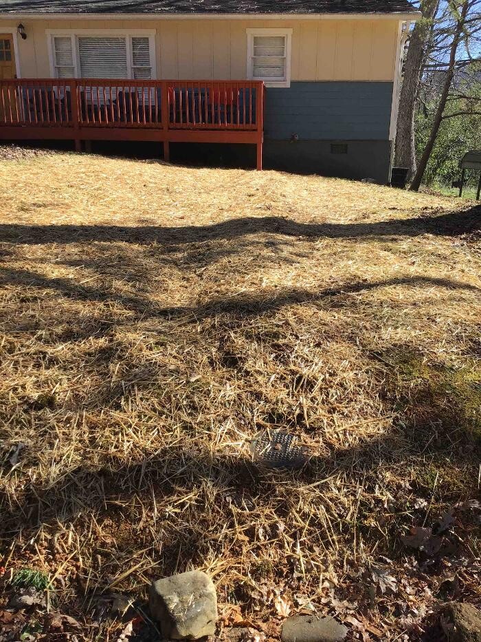 Images All About Septic - Mills River