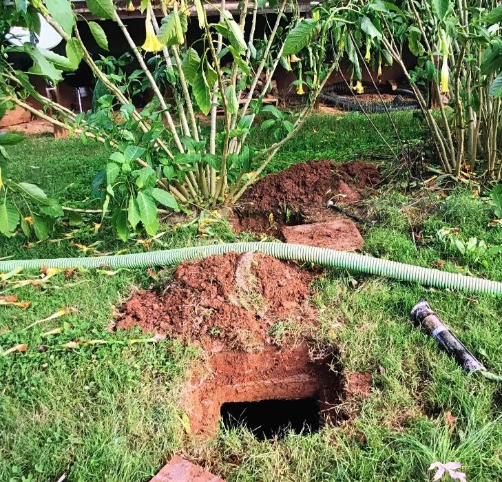 Images All About Septic - Mills River