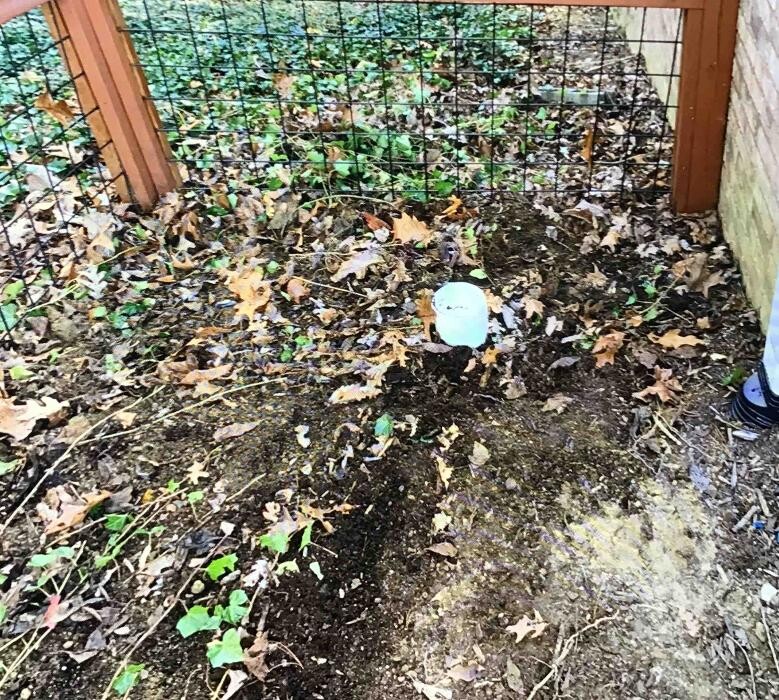 Images All About Septic - Mills River