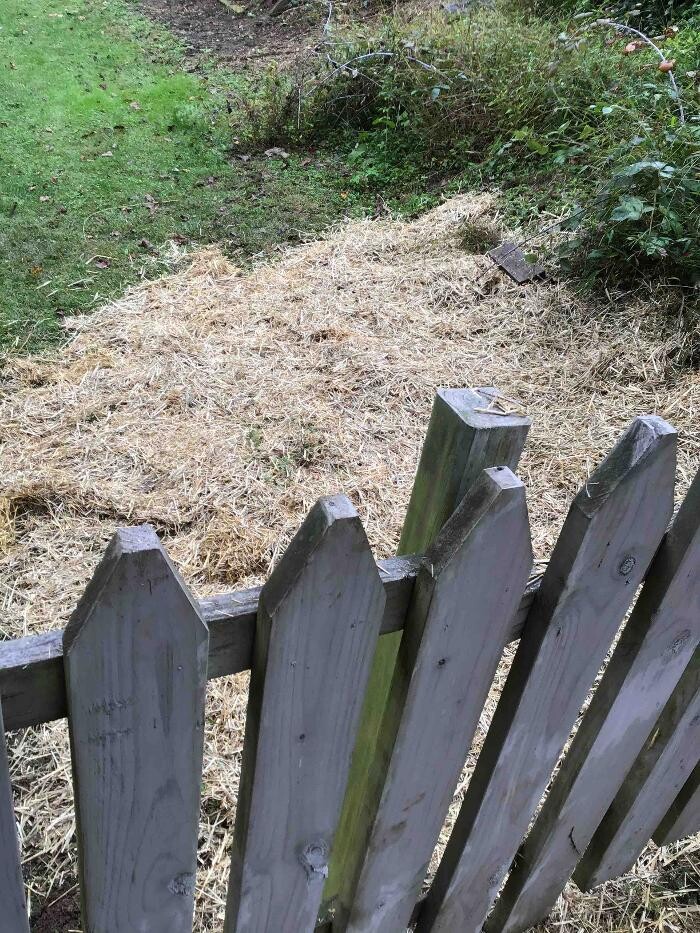 Images All About Septic - Mills River